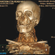 Illustration for article titled Brilliance CT 256-Slice Scanner from Philips Gets to the Heart of the Problem
